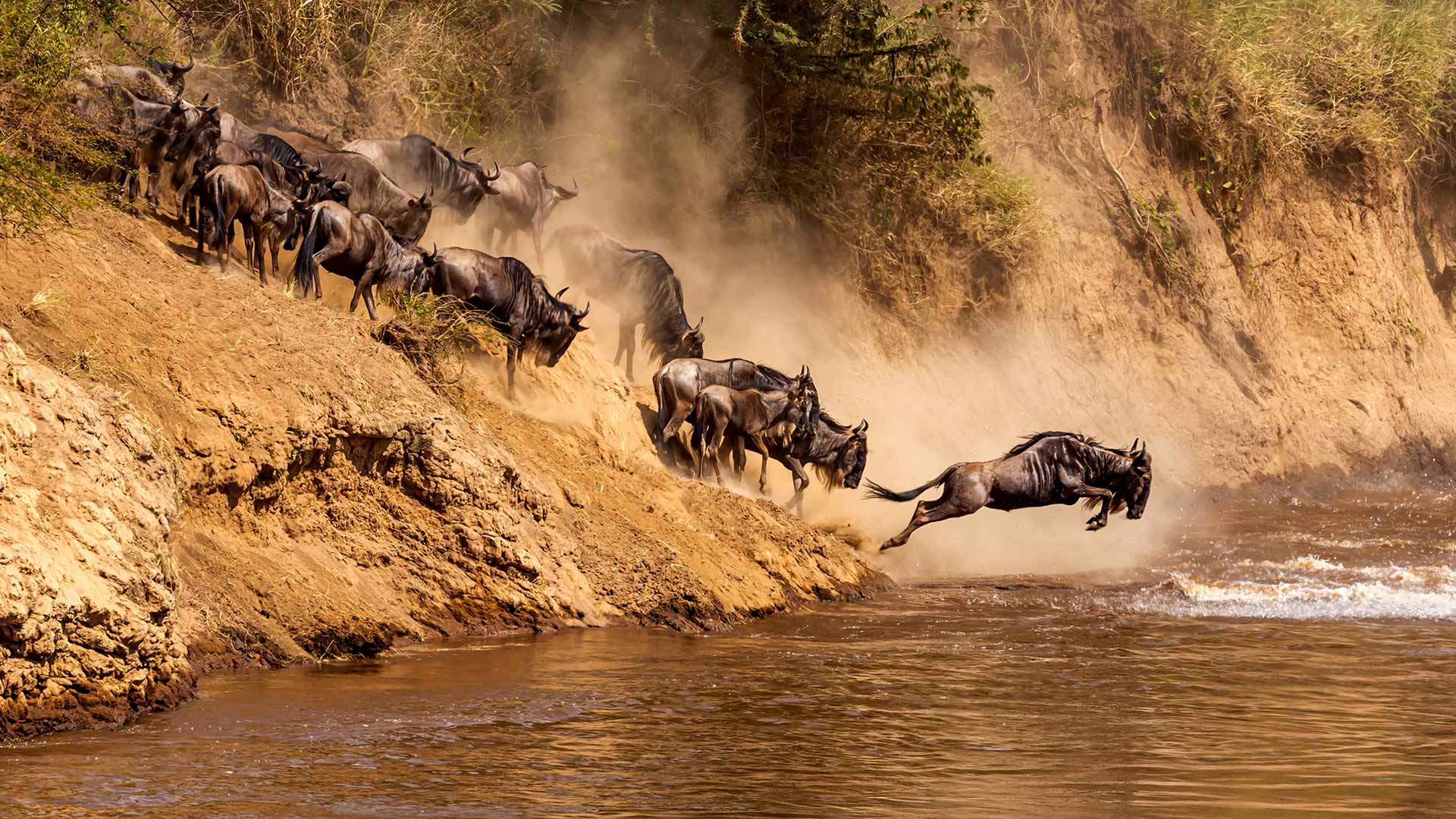 10-Day Great Migration Safari (Seasonal)