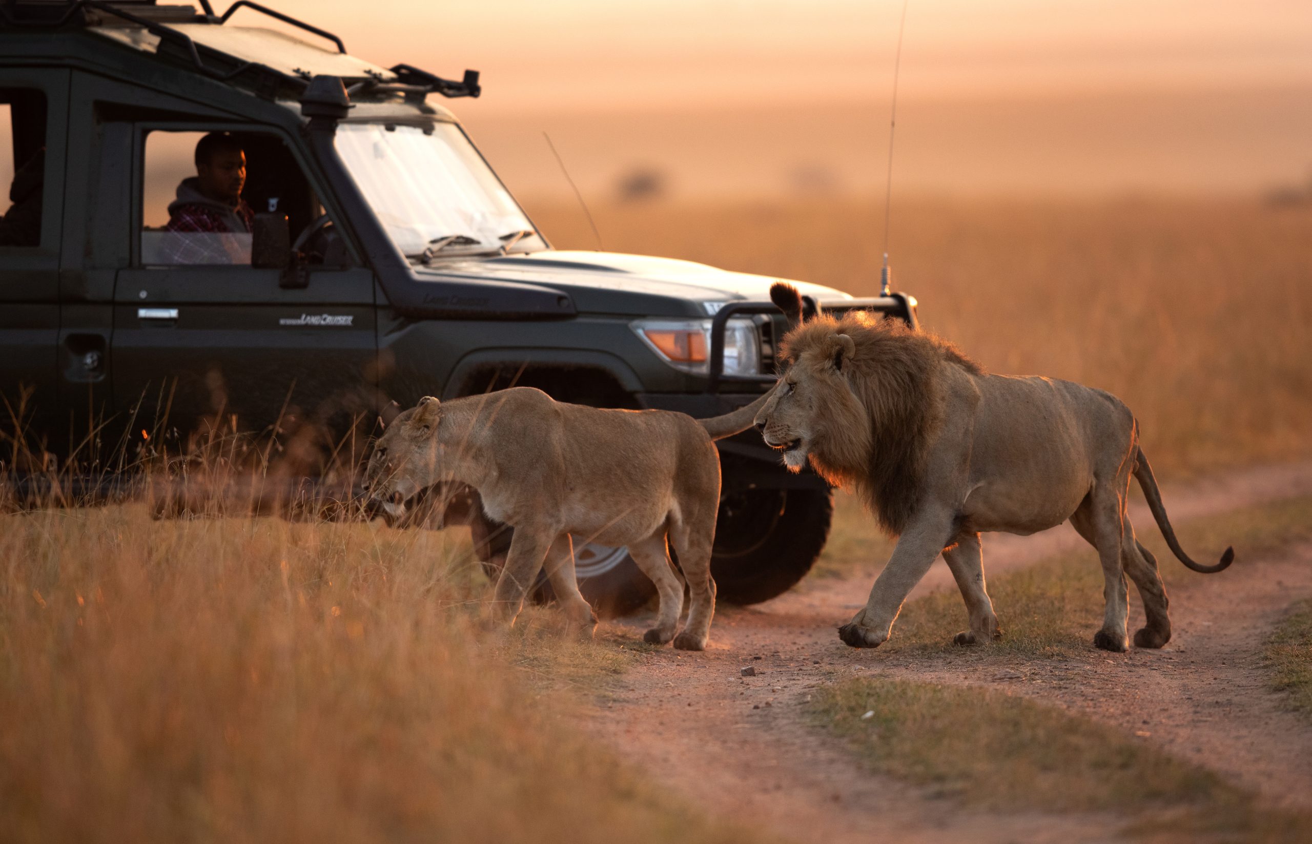 12-Day Kenya Wildlife Expedition