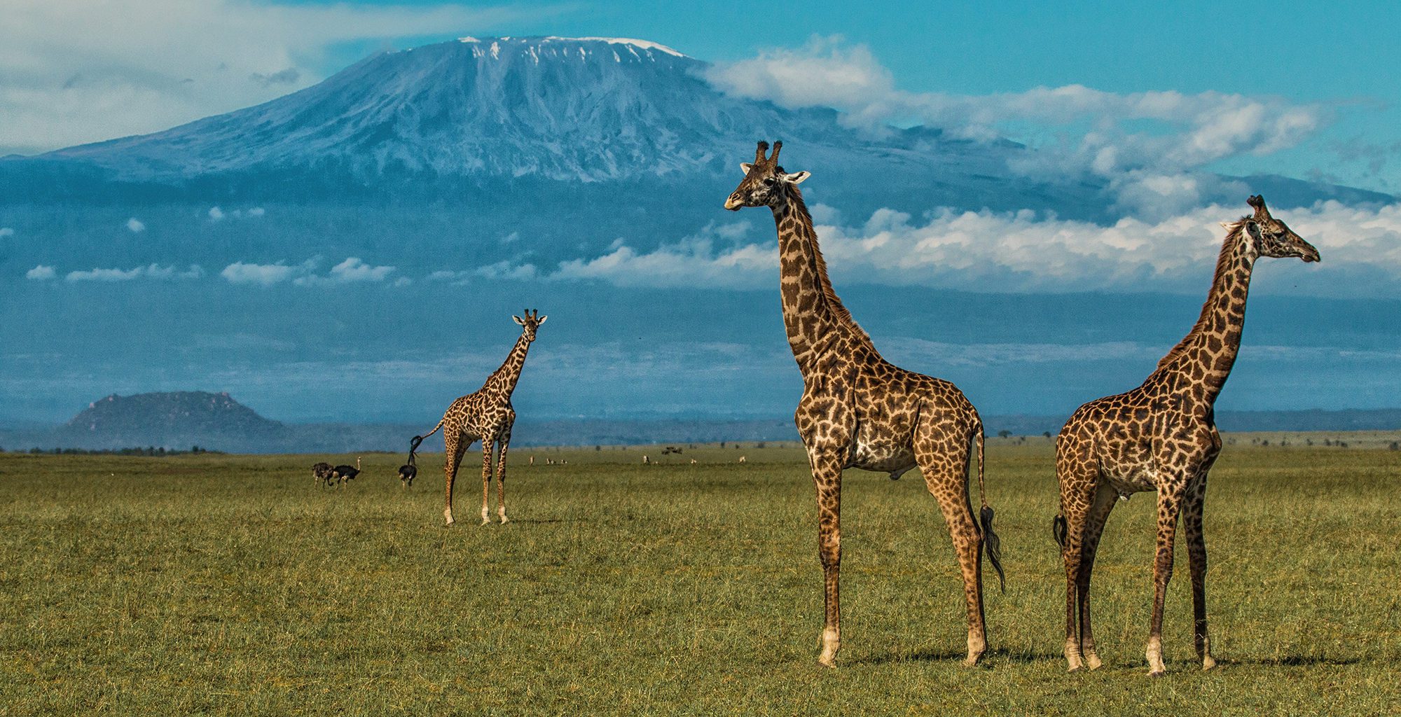 3-Day Amboseli Safari