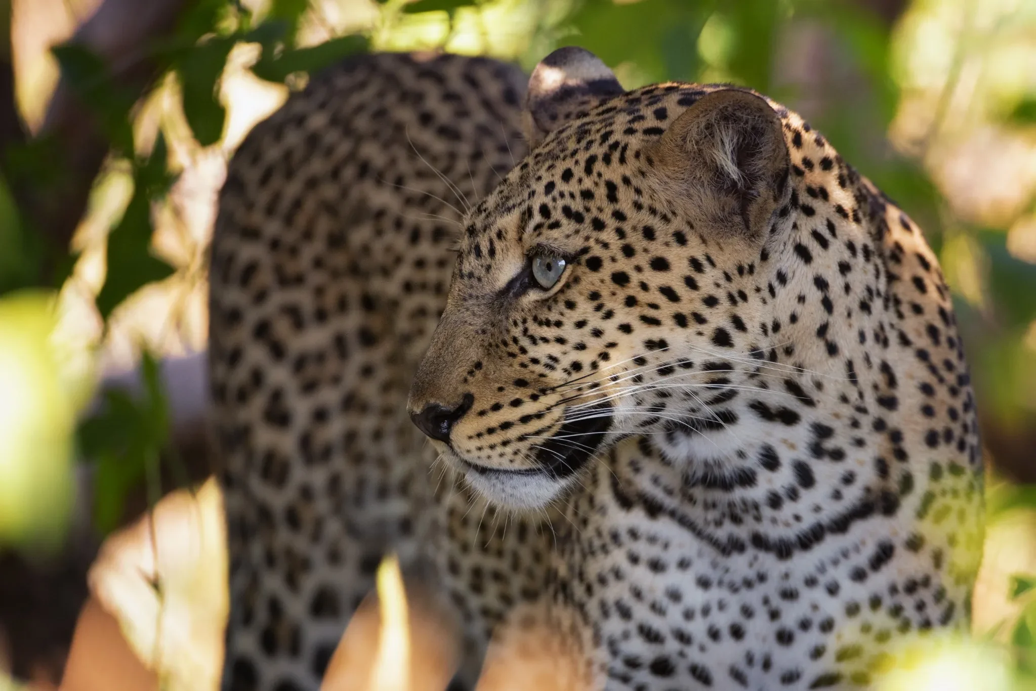 12-Day Uganda Complete Wildlife Safari