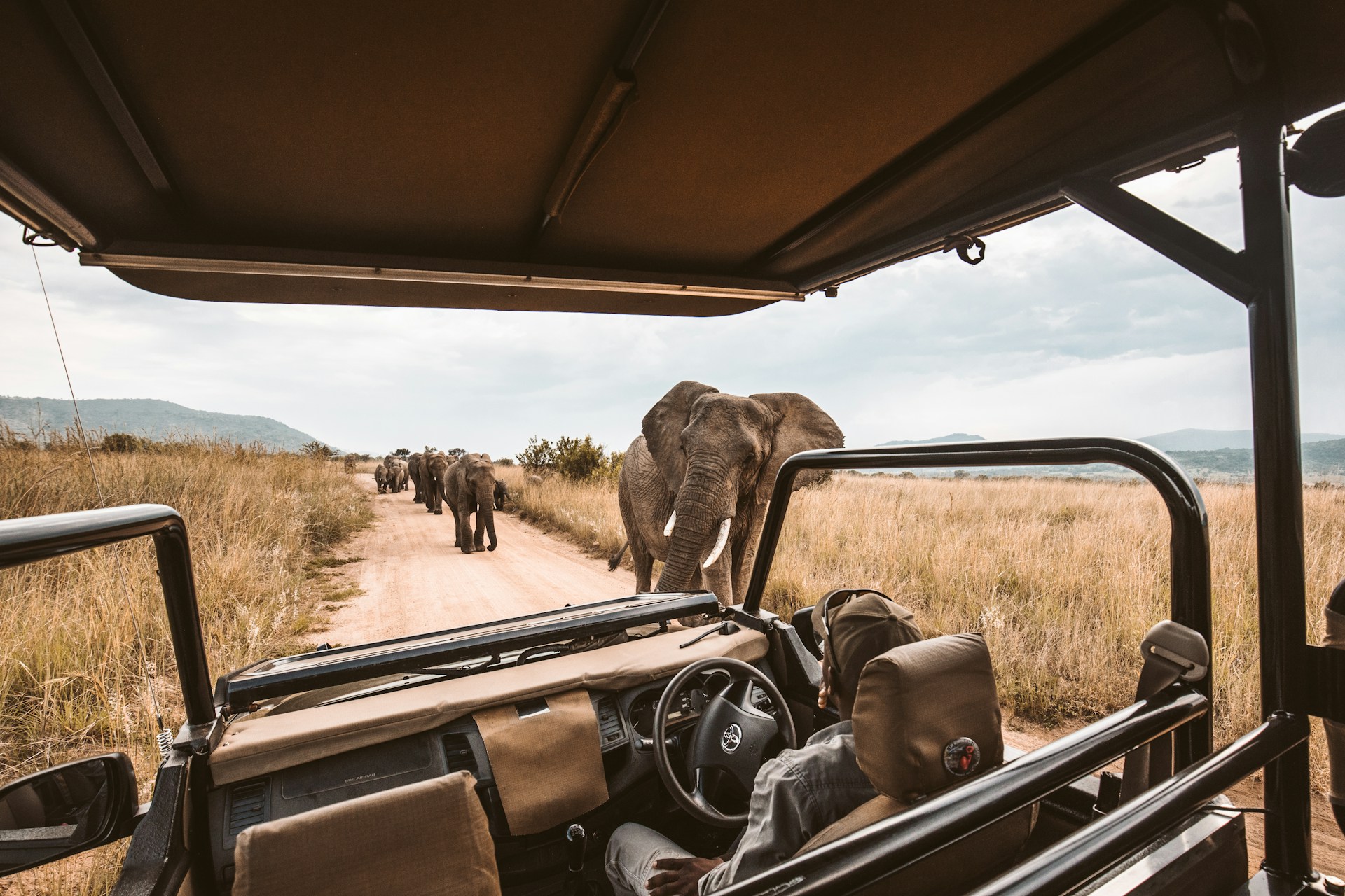 12-Day Best of Uganda & Kenya Safari